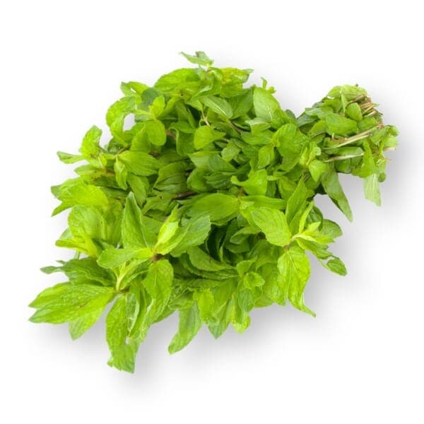 Danube Mint Leaves 1pc