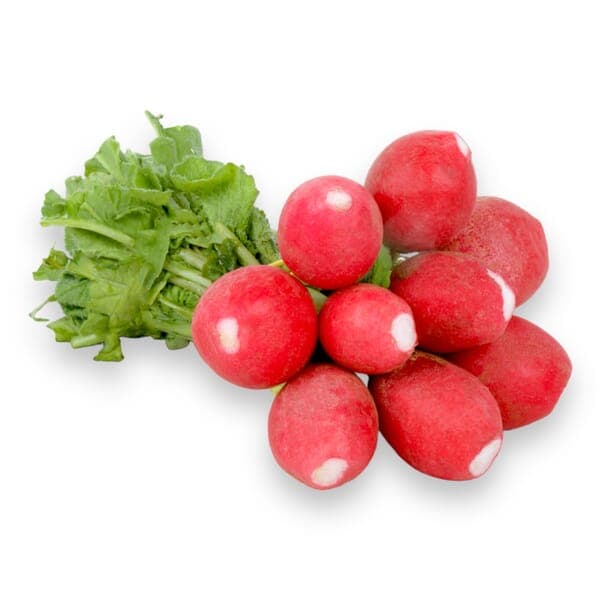 Red Turnip Leaves  