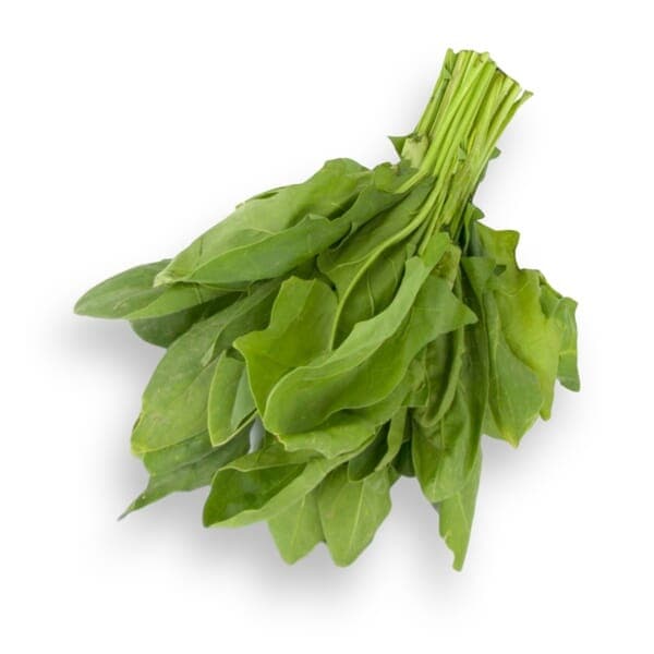 Rocket Leaves