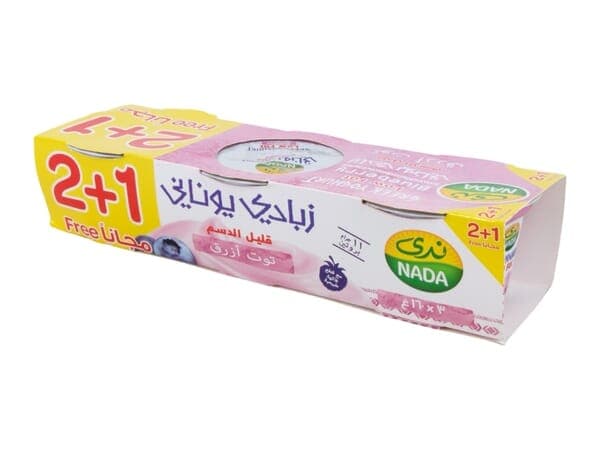 Nada Yogurt Blueberry 160×3 Pack